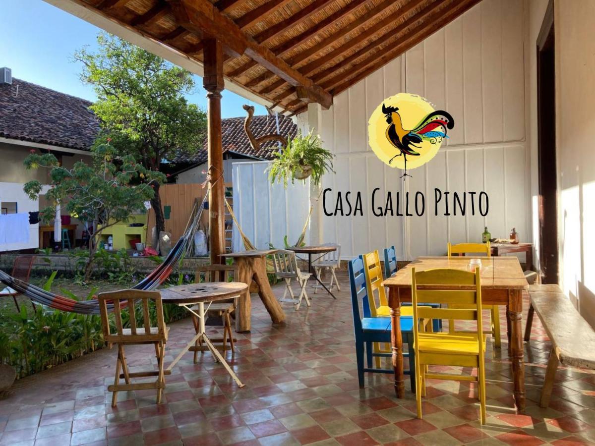 Casa Gallo Pinto Granada Eksteriør billede