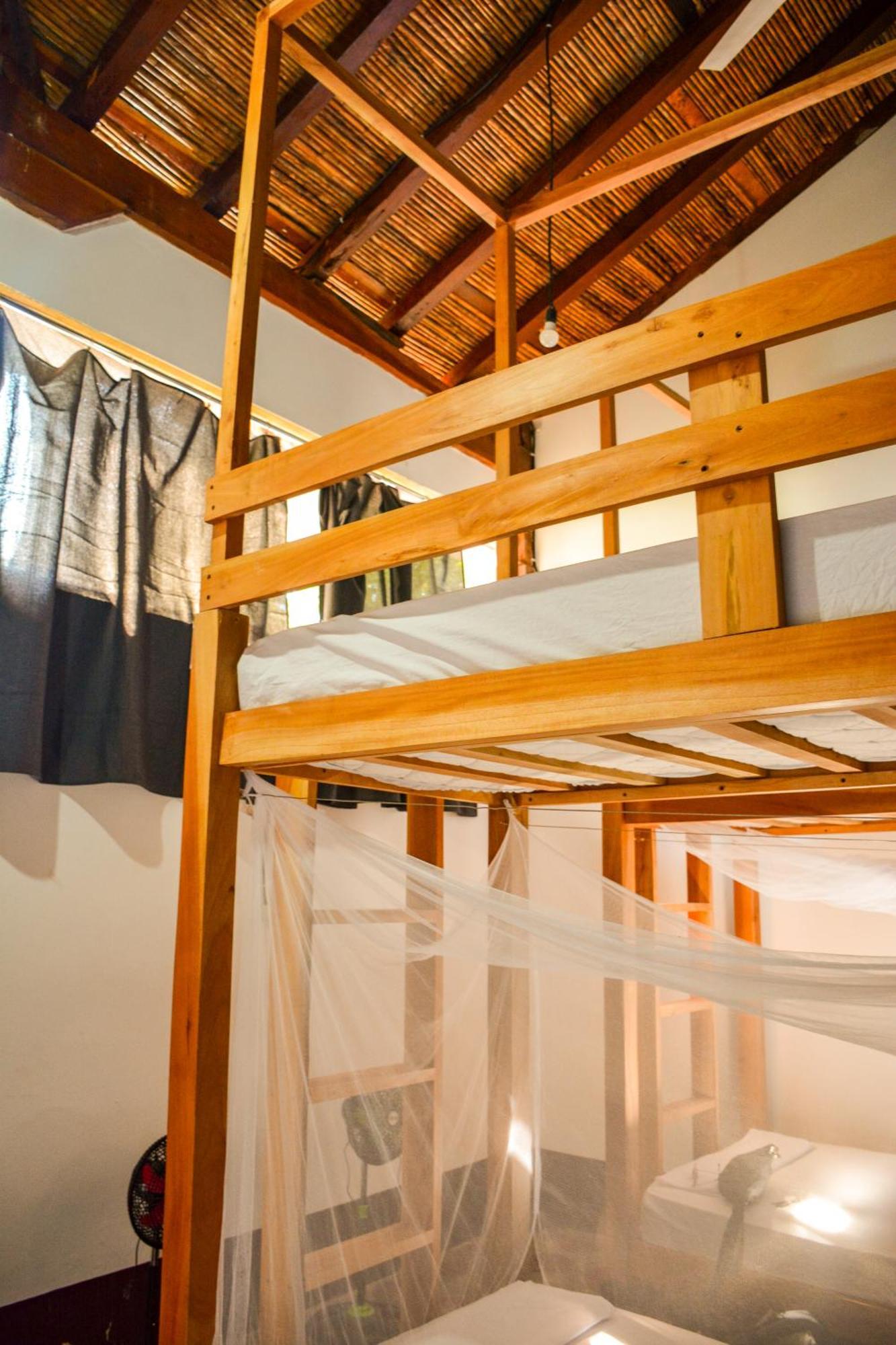 Casa Gallo Pinto Granada Eksteriør billede