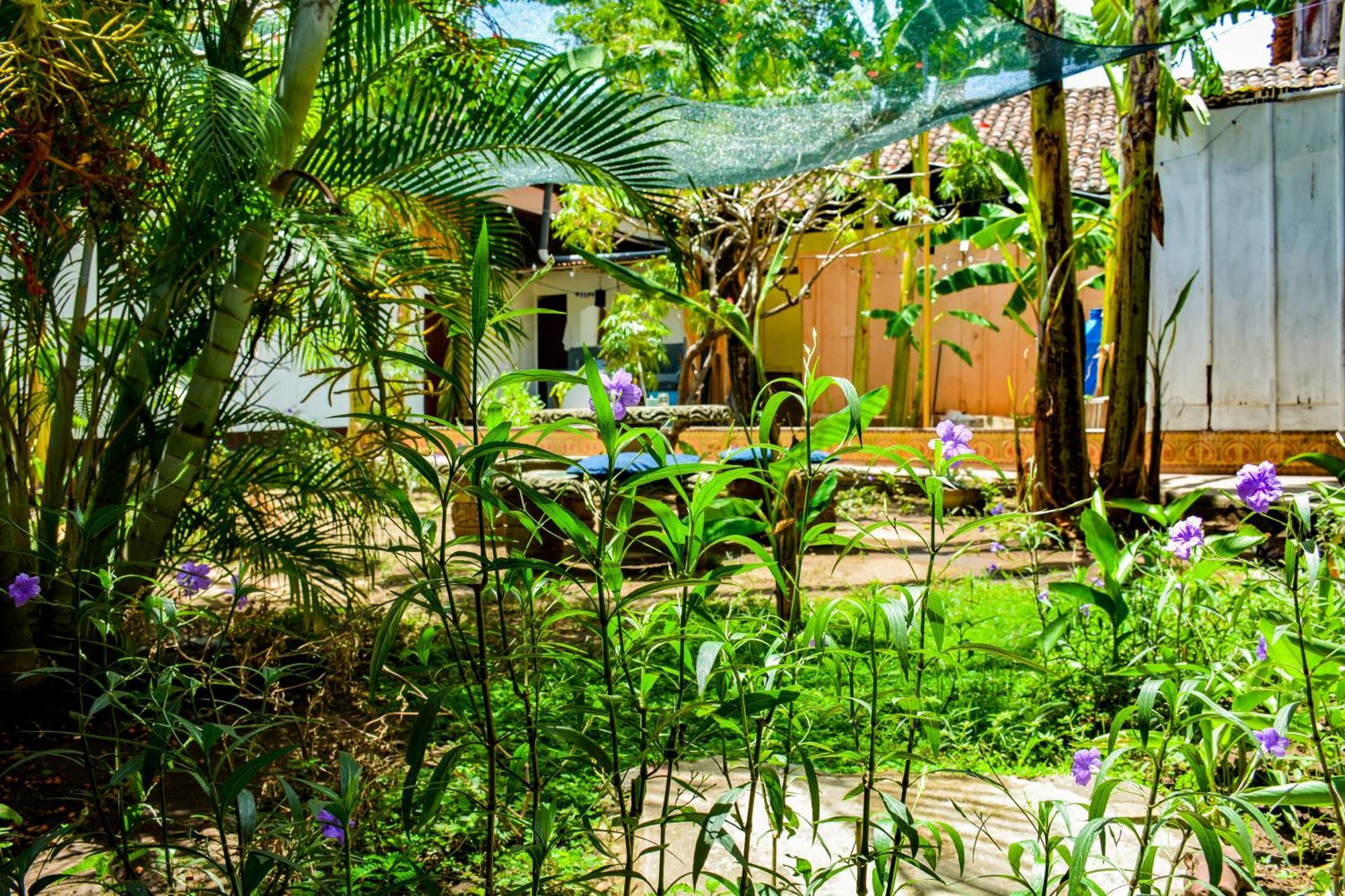 Casa Gallo Pinto Granada Eksteriør billede